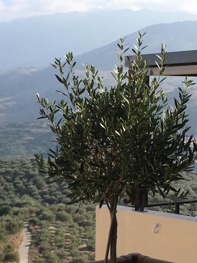 Marjoram - Morfi Village Exopoli Exteriör bild